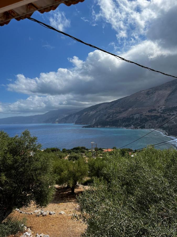 B&D 1 Daire Zóla Dış mekan fotoğraf