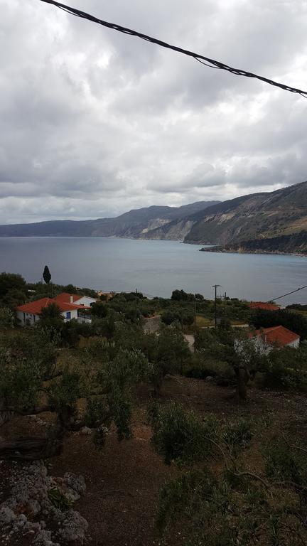 B&D 1 Daire Zóla Dış mekan fotoğraf