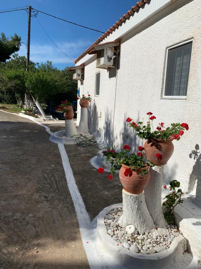 B&D 1 Daire Zóla Dış mekan fotoğraf
